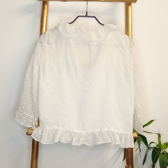 Zara Boho Frill Sheer Top - Picture 3 of 14